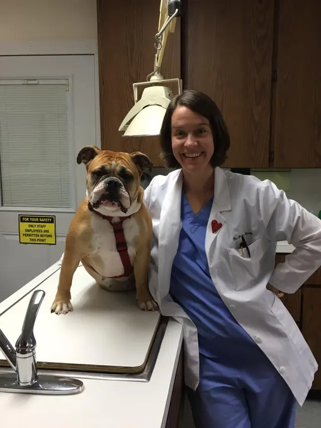 Animal Care Center — photo from the business 11