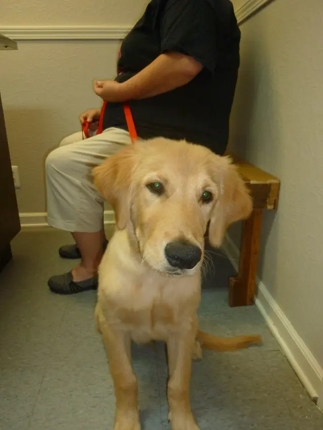 Animal Care Center — photo from the business 5