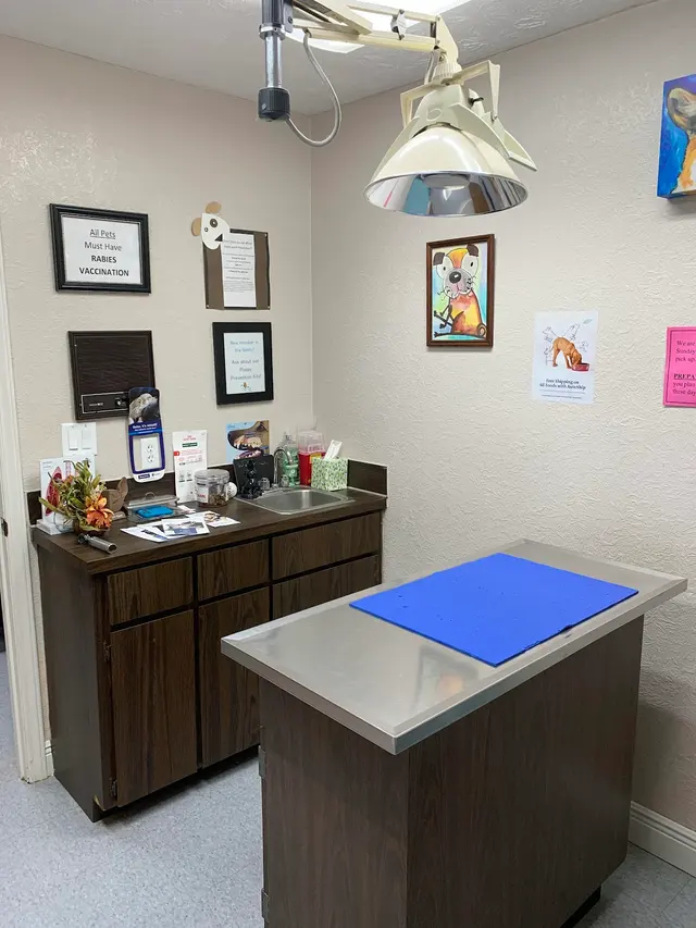 Animal Care Center — photo from the business 2