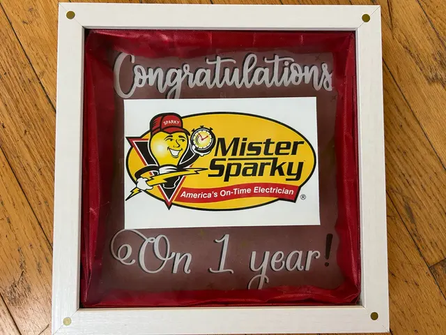 Mister Sparky — photo from the business 11