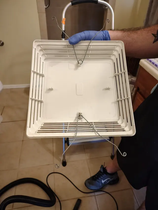 K & Ks cleaning services — photo from the business 4