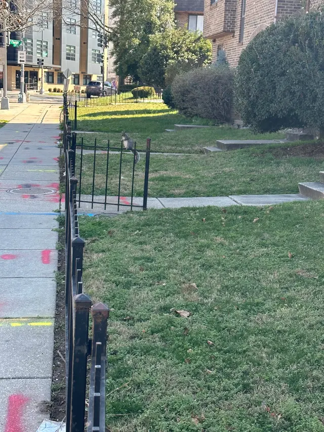 Jason Martin Group — customer photo 4
