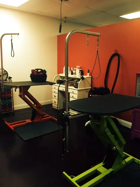 Hair Of The Dog Grooming Salon — photo from the business 3