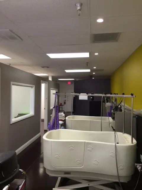 Hair Of The Dog Grooming Salon — photo from the business 2
