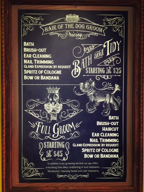 Hair Of The Dog Grooming Salon — photo from the business 6