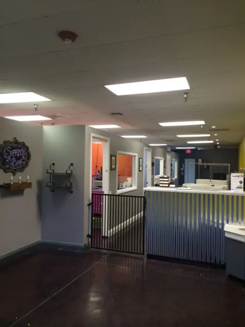 Hair Of The Dog Grooming Salon — photo from the business 4