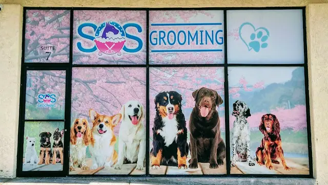 SOS Dog Grooming — photo from the business 1