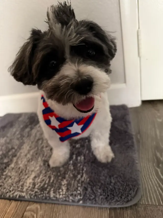 Customer photo from G's review