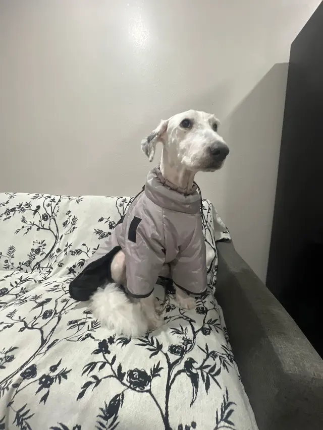 Customer photo from Genesis's review