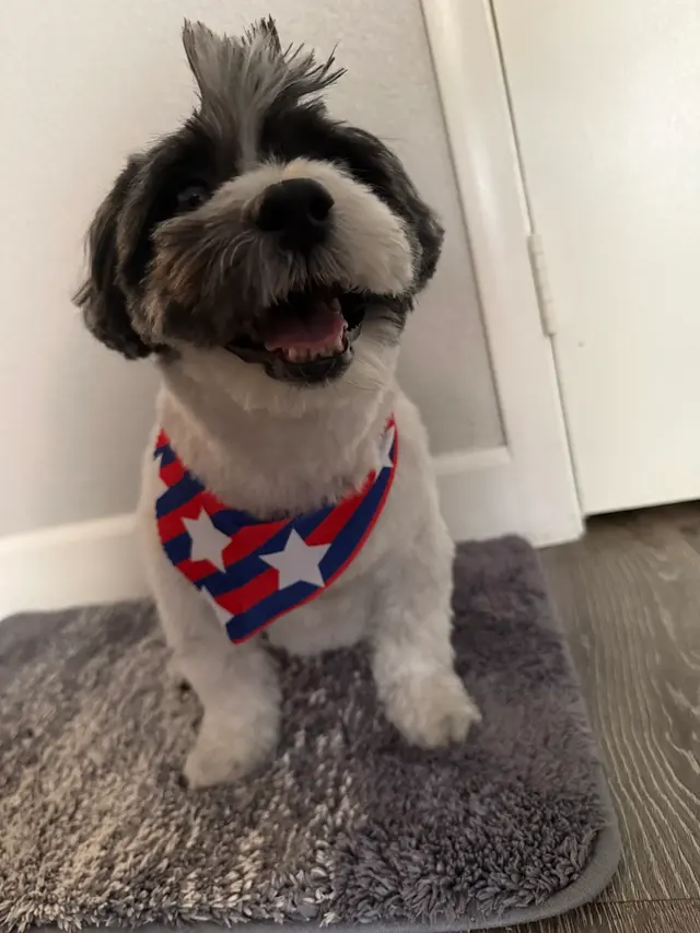 Customer photo from G's review