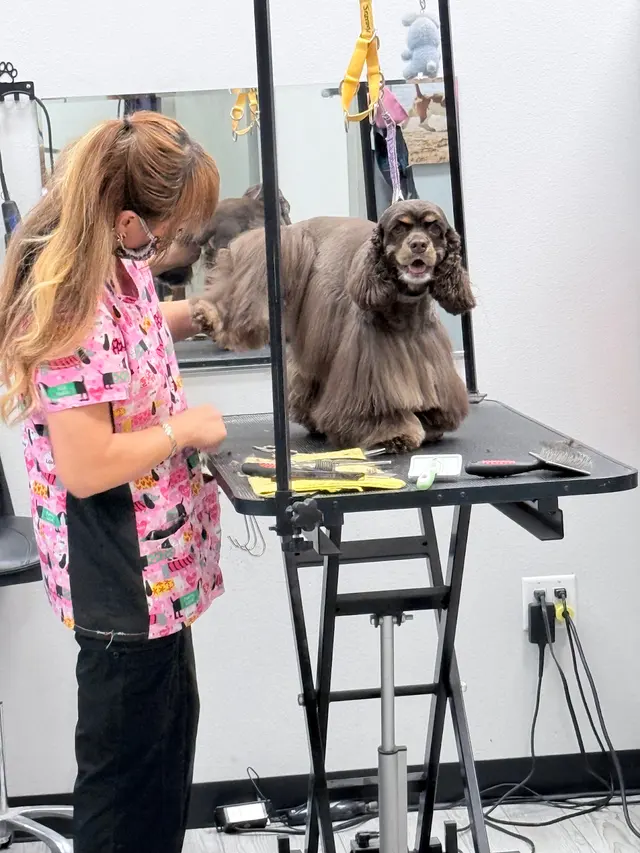 Barks and Bubbles Grooming Salon — photo from the business 6