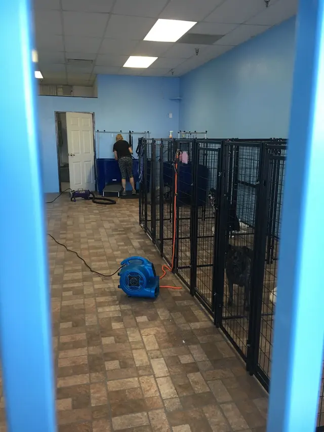 Pretty Paws Pet Grooming — photo from the business 7
