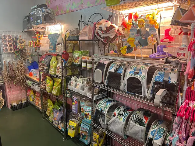 Pretty Paws Pet Grooming — photo from the business 4