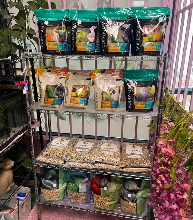 Pretty Paws Pet Grooming — photo from the business 11