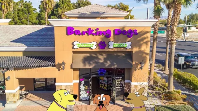 Barking Dogs Self Wash & Grooming Centennial Hills — customer photo 6