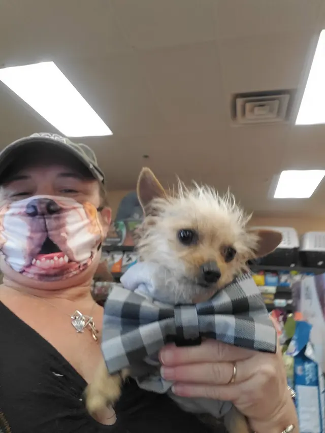 Barking Dogs Self Wash & Grooming Centennial Hills — customer photo 8