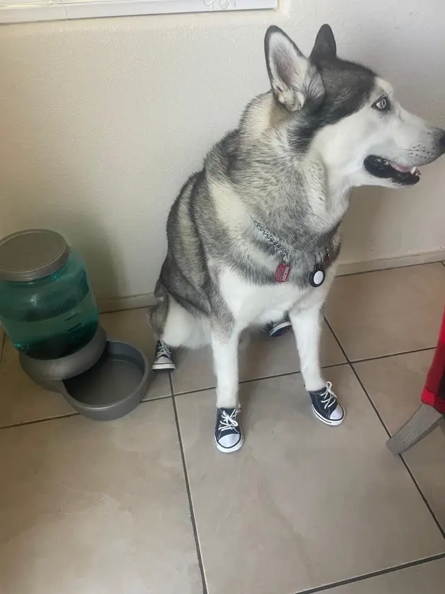 Customer photo from Mauricio's review