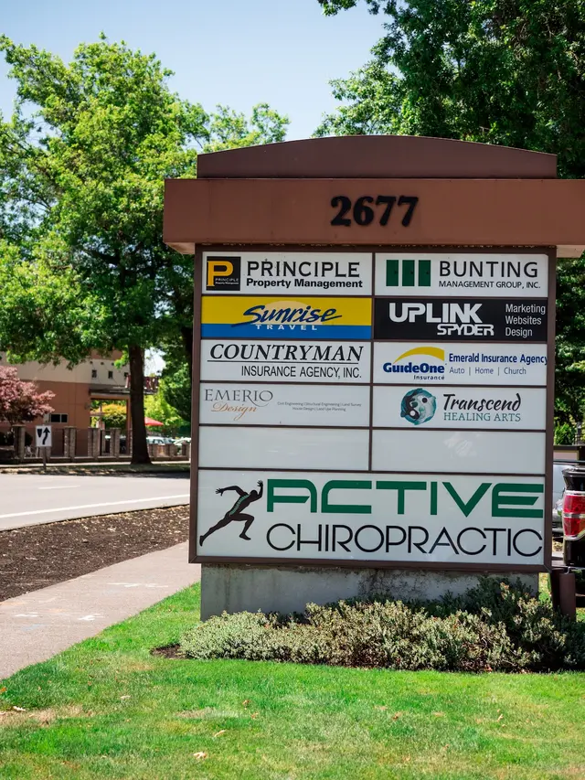 Active Chiropractic — photo from the business 5