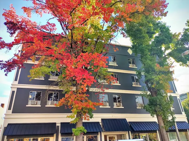 Delta Chiropractic Clinic — photo from the business 1