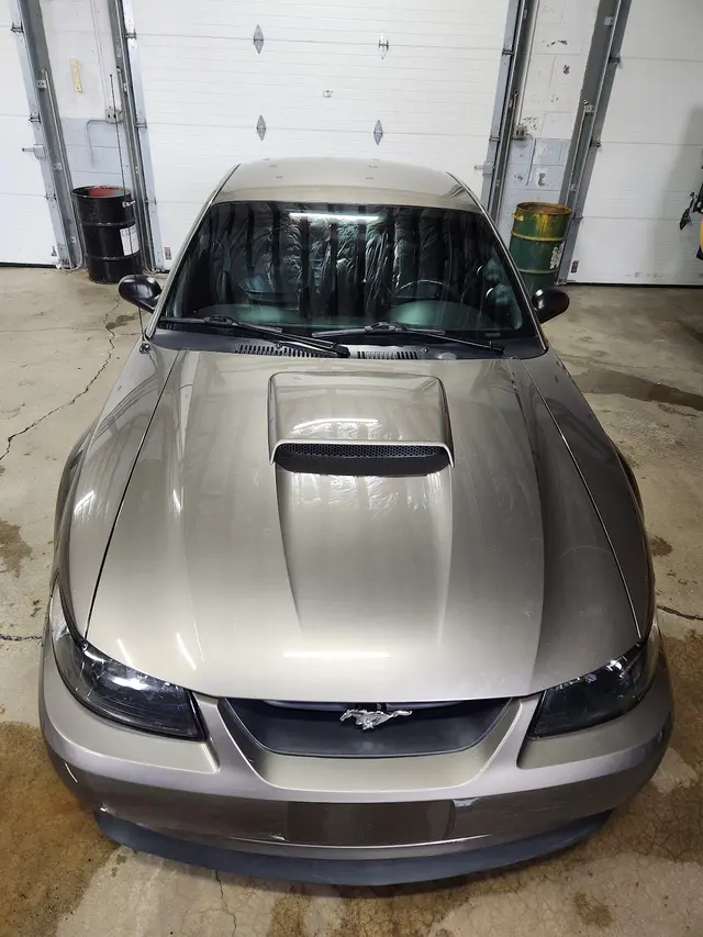 Auto Glass Plus, Inc. — customer photo 7