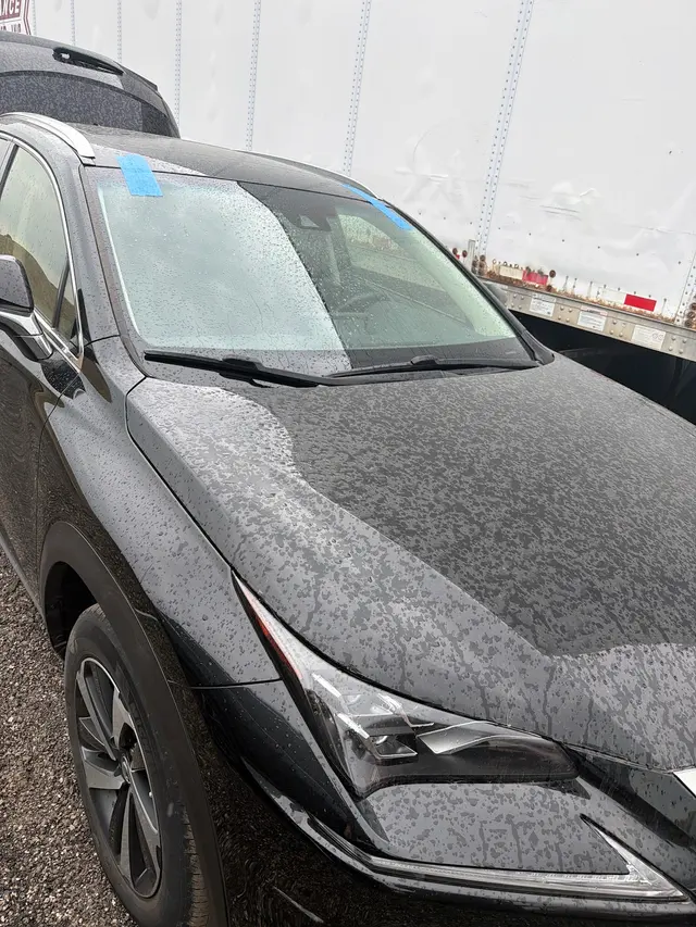A1 shield auto glass — customer photo 8