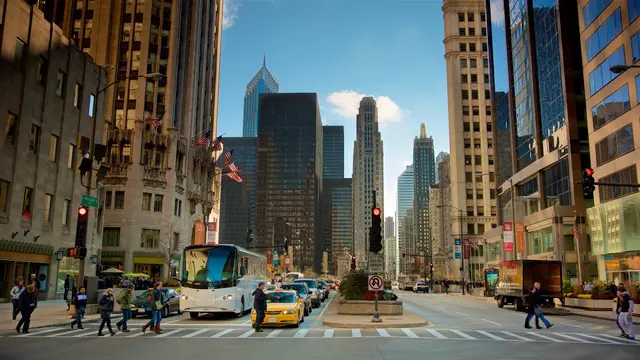 Entourage Driving School — photo from the business 8