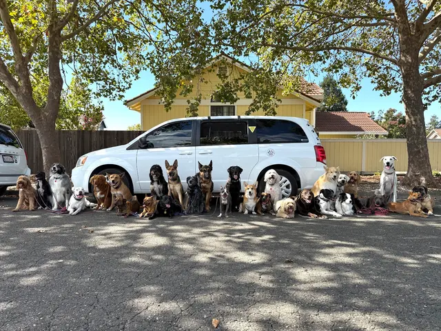 H & J Tire — customer photo 8