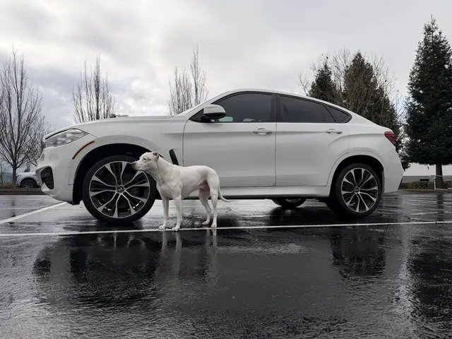 H & J Tire — customer photo 11