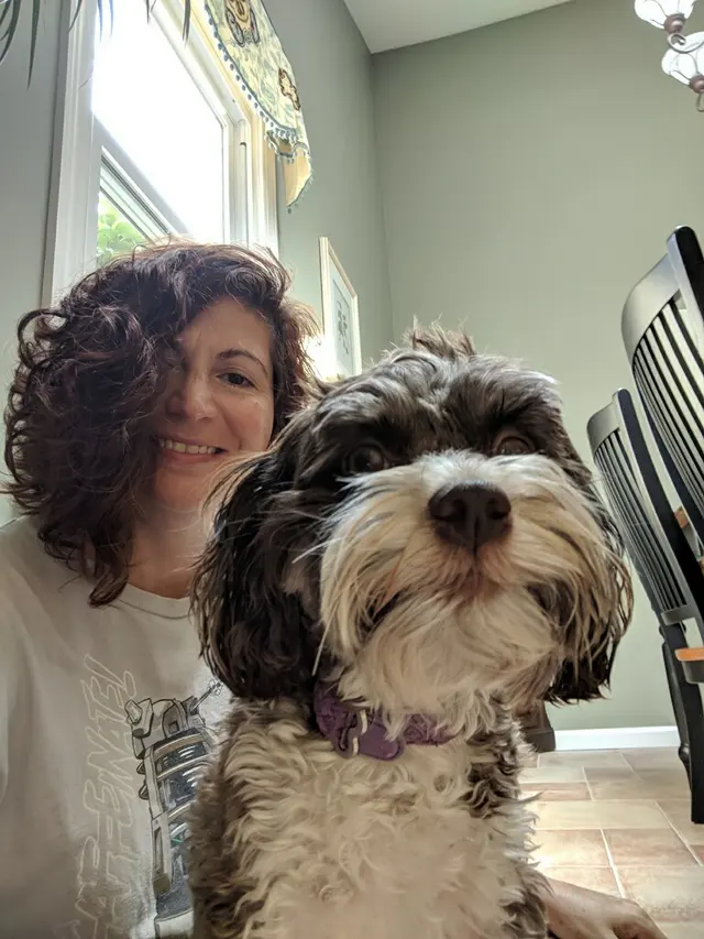 The Pet Nanny and Dog Walker — photo from the business 6