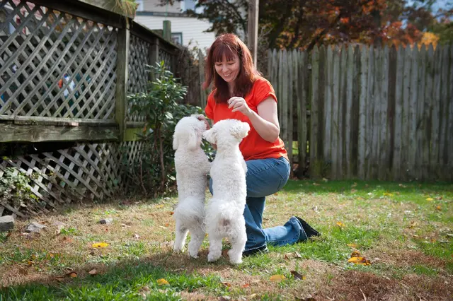 The Pet Nanny and Dog Walker — photo from the business 8