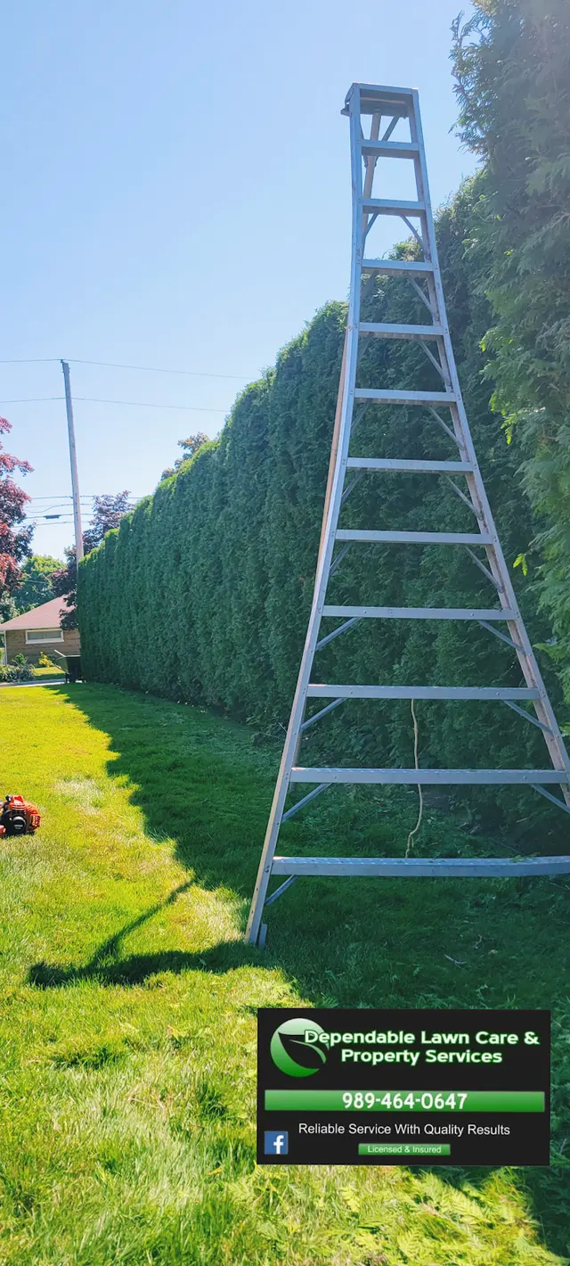 DEPENDABLE LAWN CARE & PROPERTY SERVICES — photo from the business 10