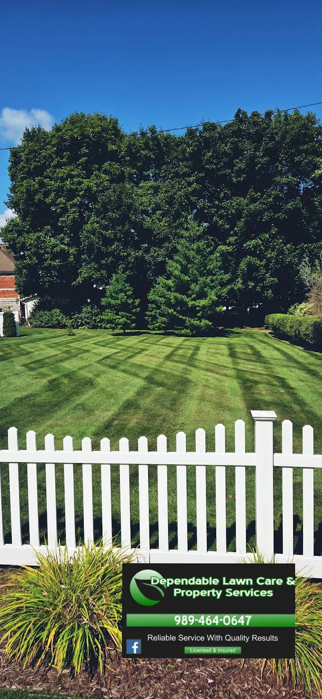 DEPENDABLE LAWN CARE & PROPERTY SERVICES — photo from the business 12