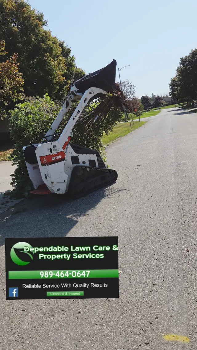 DEPENDABLE LAWN CARE & PROPERTY SERVICES — photo from the business 6