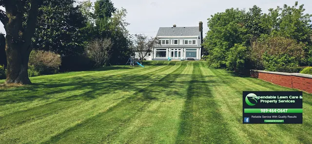 DEPENDABLE LAWN CARE & PROPERTY SERVICES — photo from the business 2