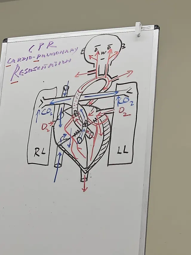 CPR Certification Chicago — customer photo 10