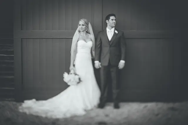 Bow Tie Photo & Video — photo from the business 11