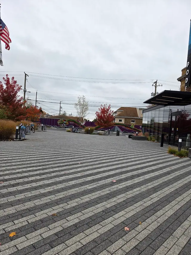 PODER — customer photo 9
