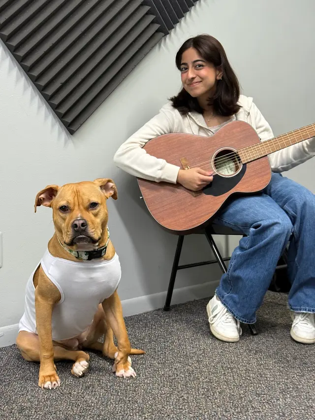 Northville Guitar And Piano Lessons — photo from the business 1