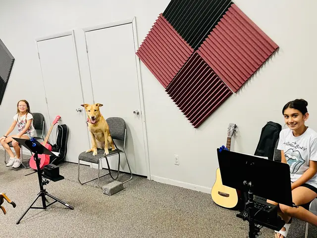 Northville Guitar And Piano Lessons — photo from the business 7