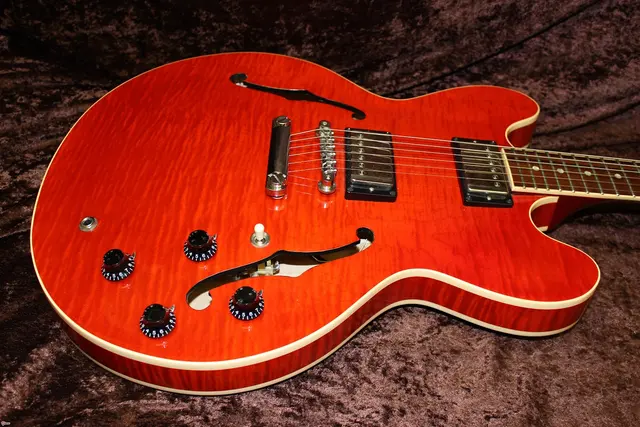 The Berkley Music Company — customer photo 5