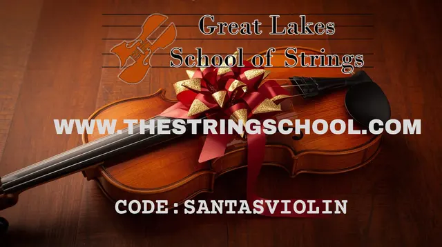 Great Lakes School of Strings — photo from the business 3