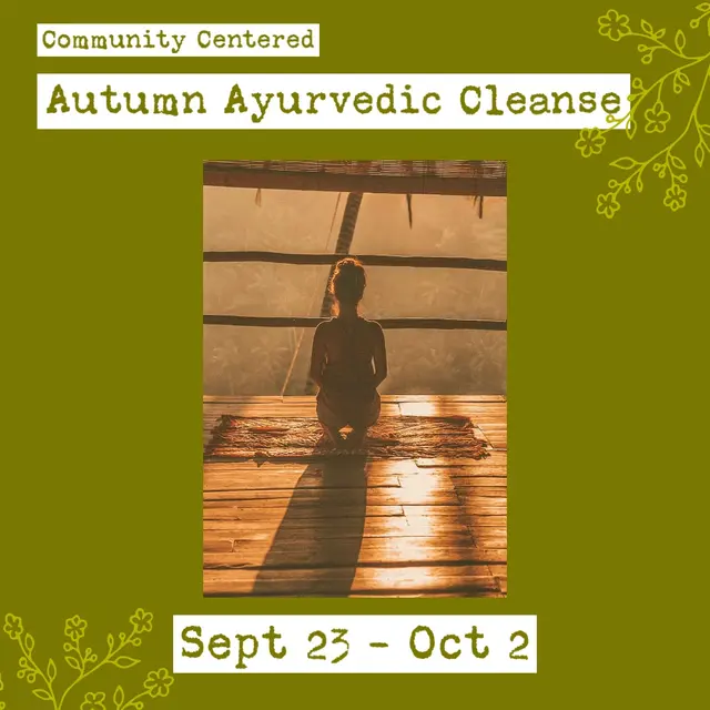 Om Maitri Ayurveda — photo from the business 7
