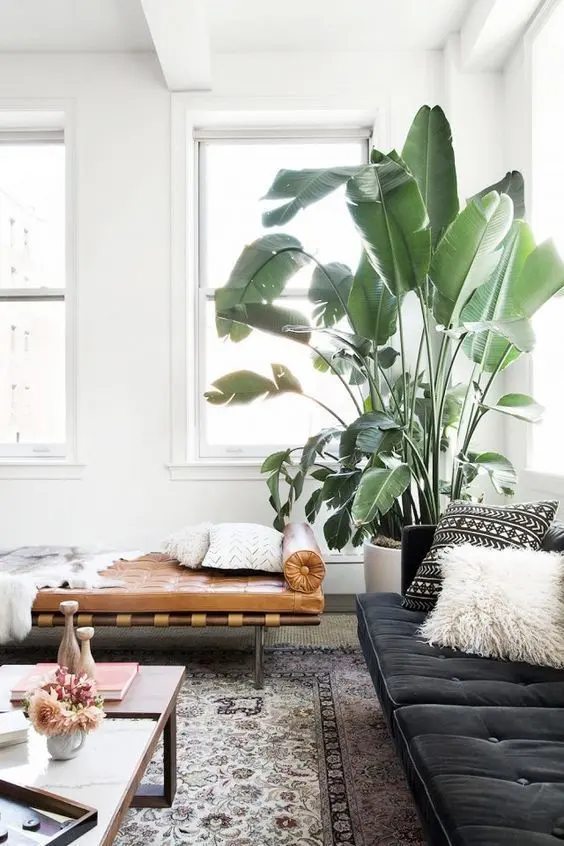 Delia Designs Interior Design — photo from the business 9