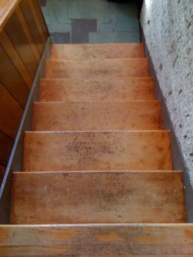 Evergreen Hardwood Flooring — photo from the business 7