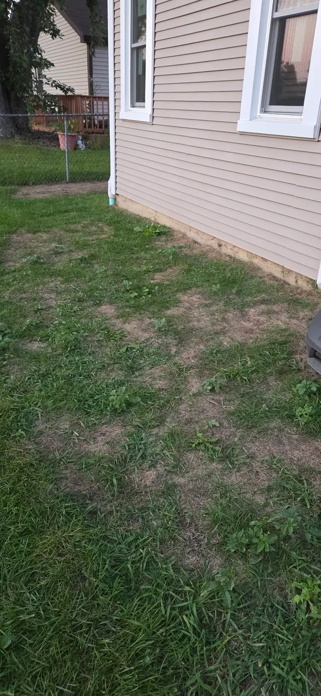Customer photo of work by Ware Landscaping & Snow Removal, from Jennifer Frazer's review