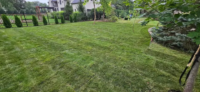 Customer photo from Karl's review