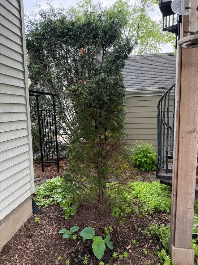 Ware Landscaping & Snow Removal — photo from the business 5