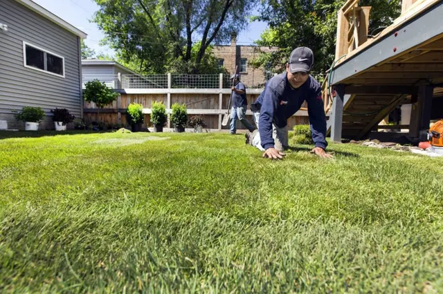 Ware Landscaping & Snow Removal — photo from the business 7
