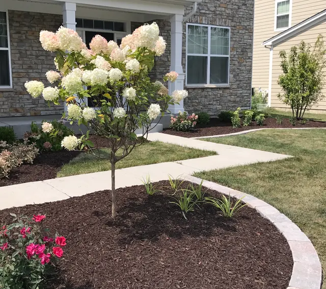 Willow Glen Landscape, Inc. — photo from the business 8