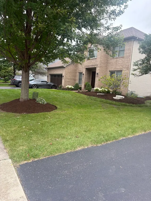 Customer photo of work by Willow Glen Landscape, Inc., from Heidi Holm's review